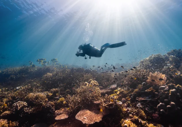 PADI&rsquo;s Dive Education for Ocean Stewardship and Skill Mastery